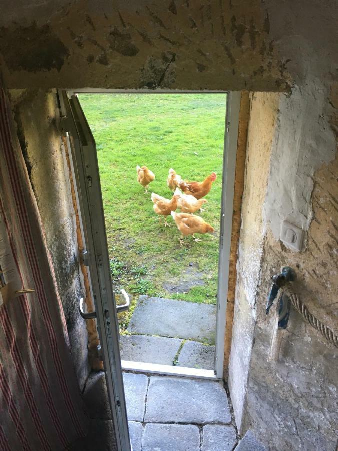 Gites Le Vieux Vinzelles Волвик Екстериор снимка